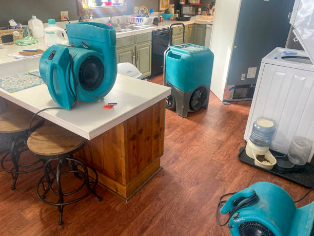 Best Water damage restoration company  in Moosic, PA