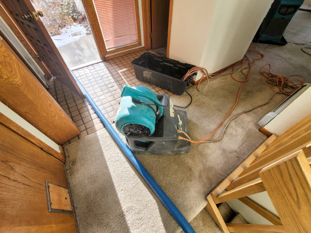 Best Water damage restoration near me  in Moosic, PA