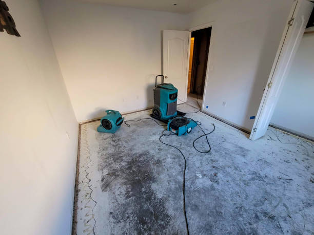 Best Carpet water damage restoration  in Moosic, PA