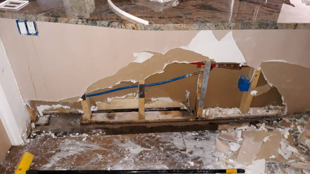 Best Water damage restoration experts  in Moosic, PA