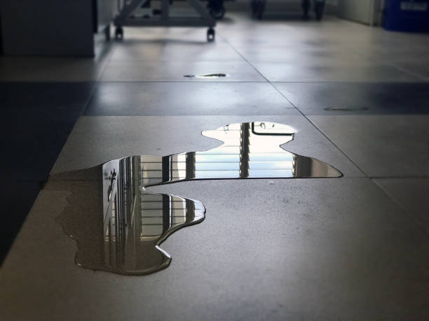 Best Water damage restoration services  in Moosic, PA