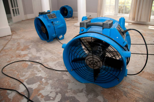 Best Ceiling water damage repair  in Moosic, PA