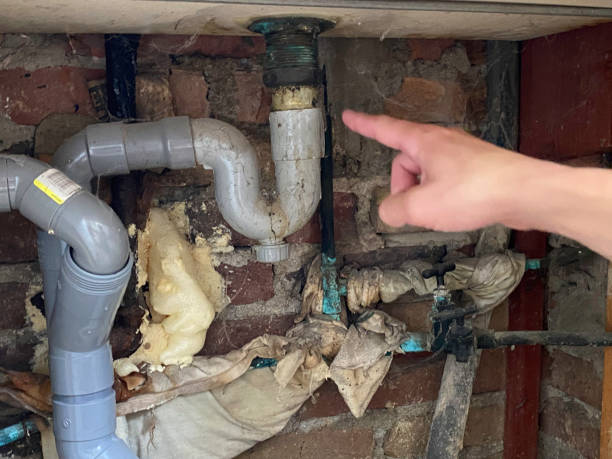 Best Water damage contractors near me  in Moosic, PA
